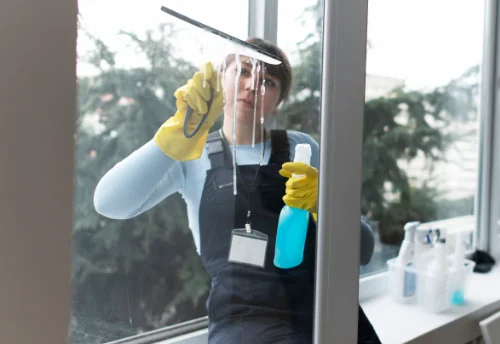 Nettoyage de vitres intérieures et extérieures à Lugny